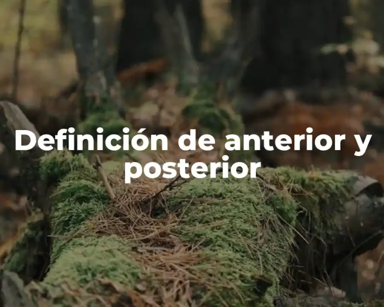 Definición de anterior y posterior