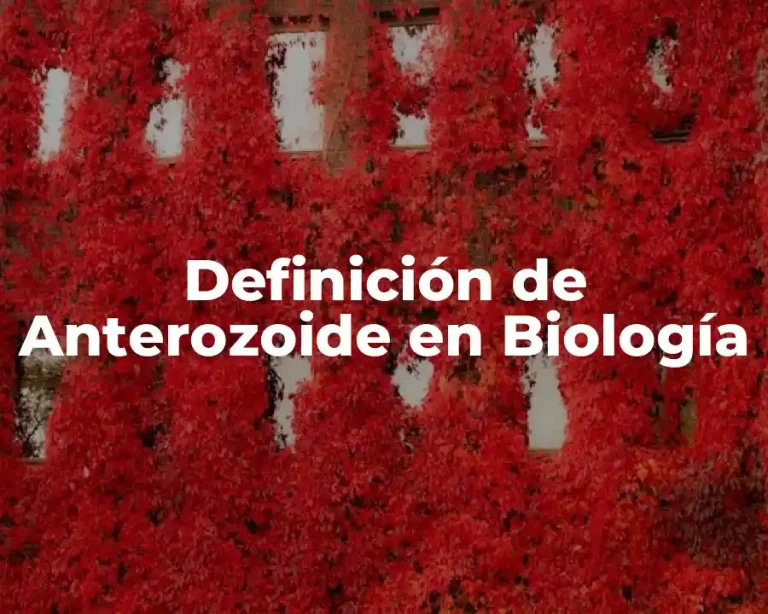 Definición de Anterozoide en Biología