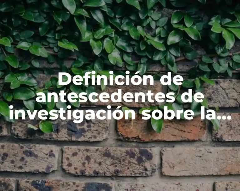 Definición de antescedentes de investigación sobre la seguridad pública