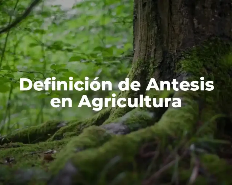 Definición de Antesis en Agricultura
