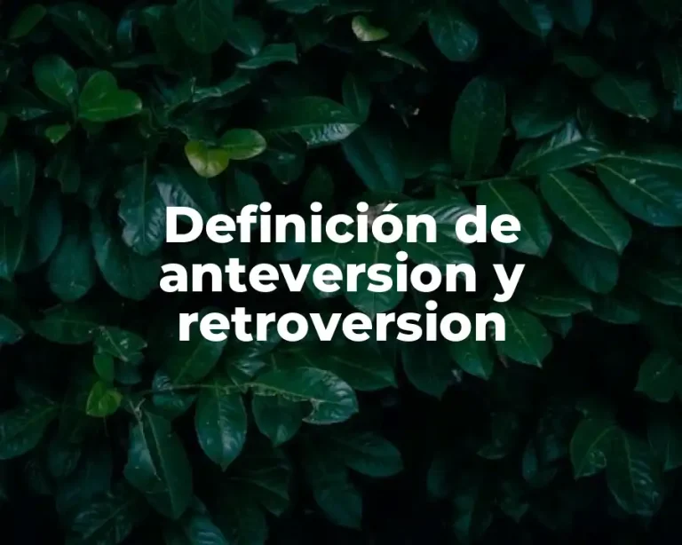 Definición de anteversion y retroversion