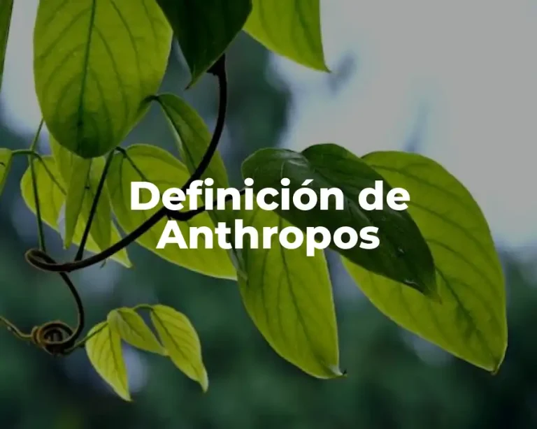 Definición de Anthropos