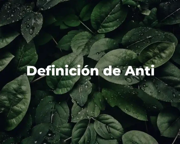 Definición de Anti