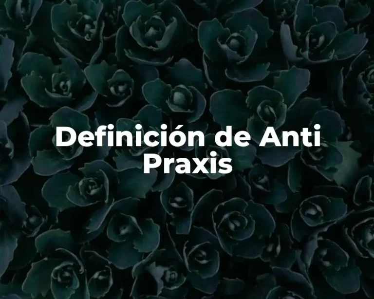 Definición de Anti Praxis