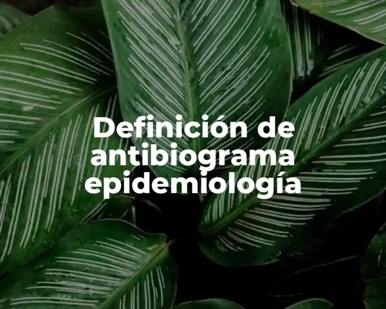 Definición de antibiograma epidemiología