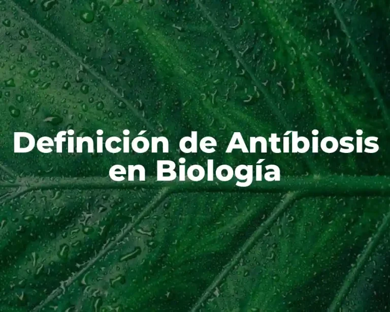 Definición de Antíbiosis en Biología