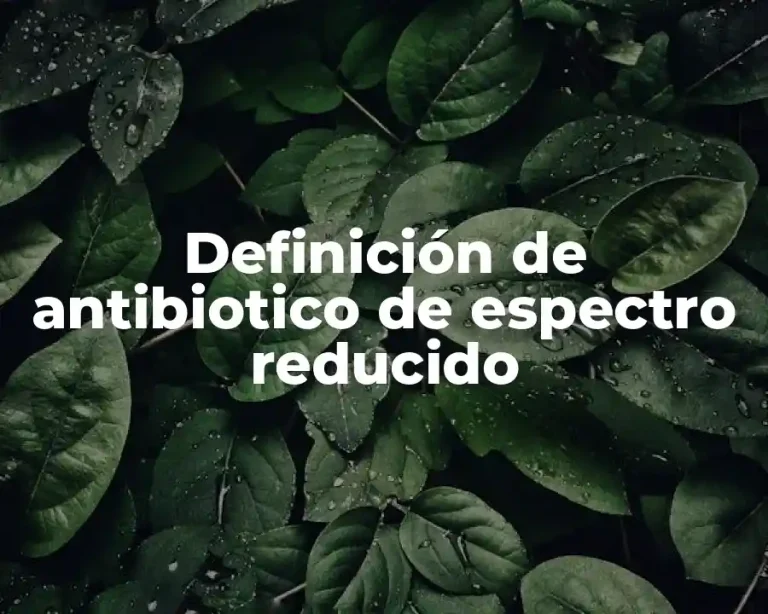 Definición de antibiotico de espectro reducido