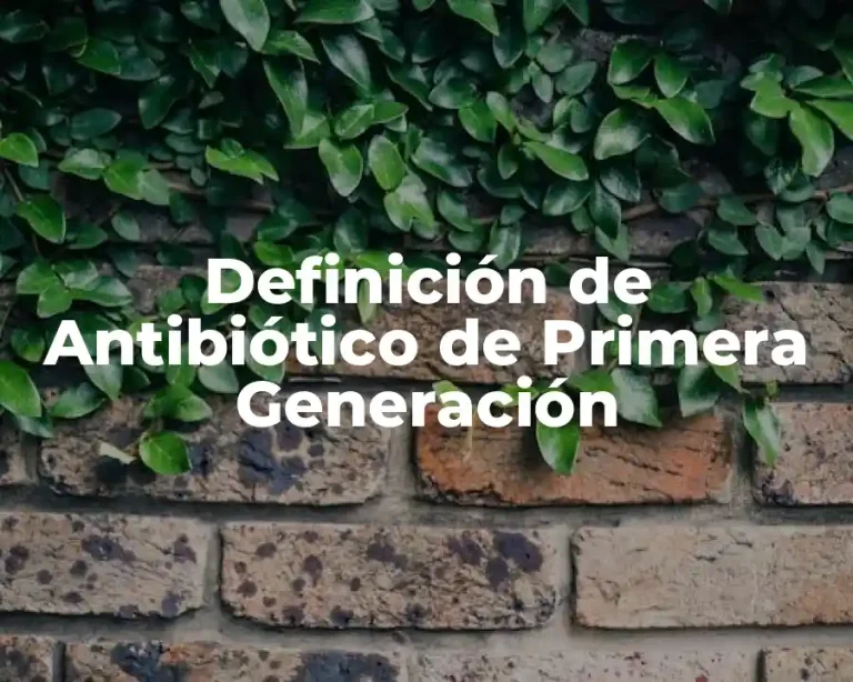 Definición de Antibiótico de Primera Generación