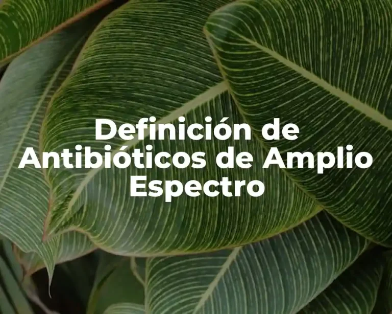 Definición de Antibióticos de Amplio Espectro