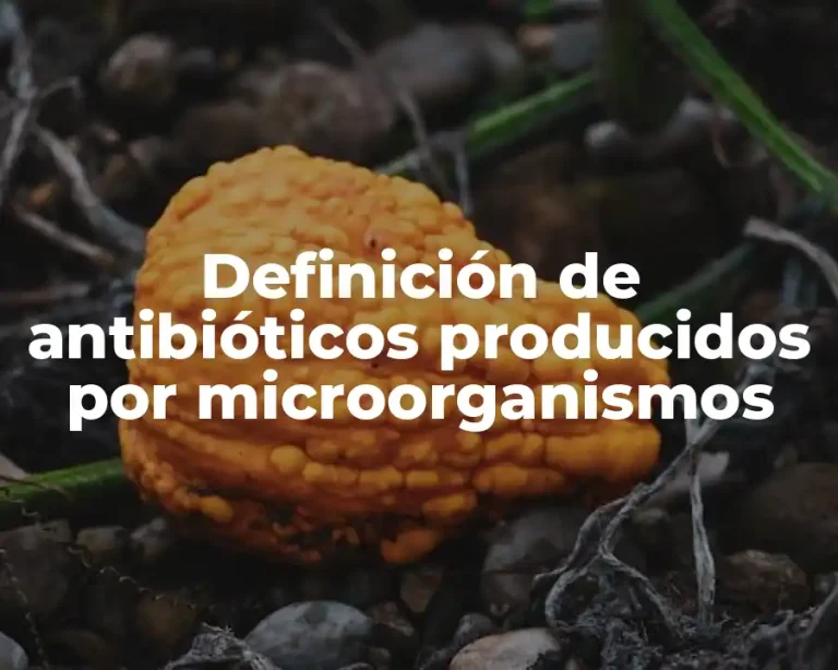 Definición de antibióticos producidos por microorganismos