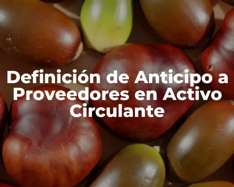 Definición de Anticipo a Proveedores en Activo Circulante