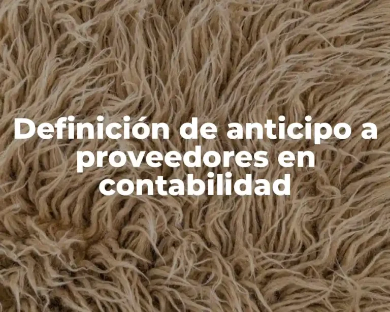 Definición de anticipo a proveedores en contabilidad