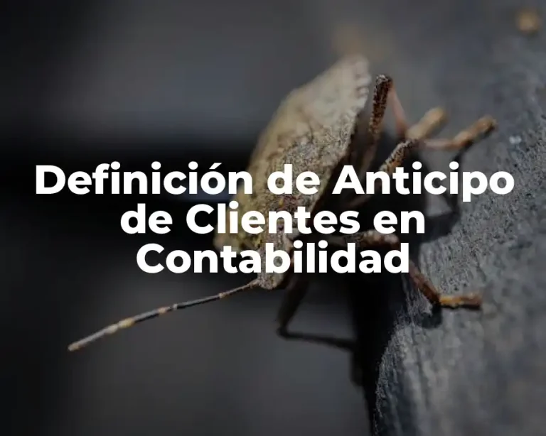 Definición de Anticipo de Clientes en Contabilidad
