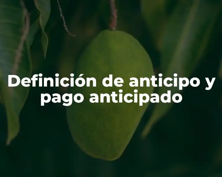 Definición de anticipo y pago anticipado