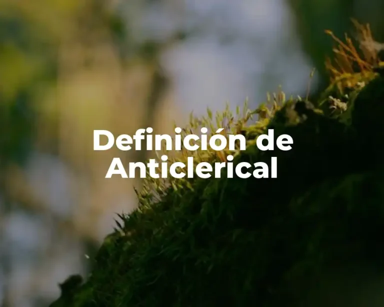 Definición de Anticlerical