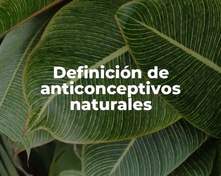 Definición de anticonceptivos naturales
