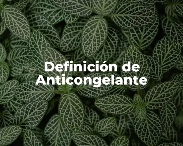 Definición de Anticongelante