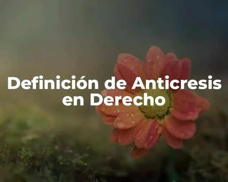 Definición de Anticresis en Derecho