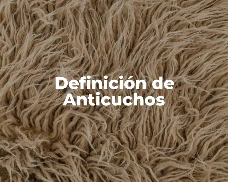Definición de Anticuchos