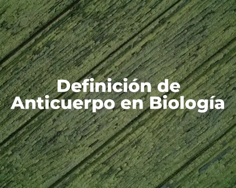 Definición de Anticuerpo en Biología