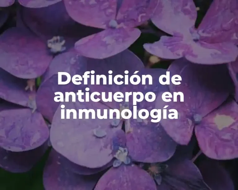 Definición de anticuerpo en inmunología