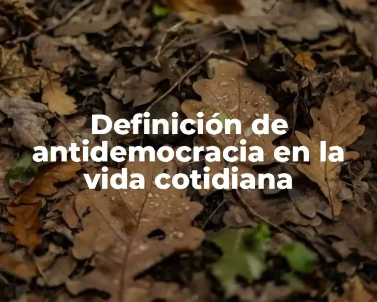 Definición de antidemocracia en la vida cotidiana