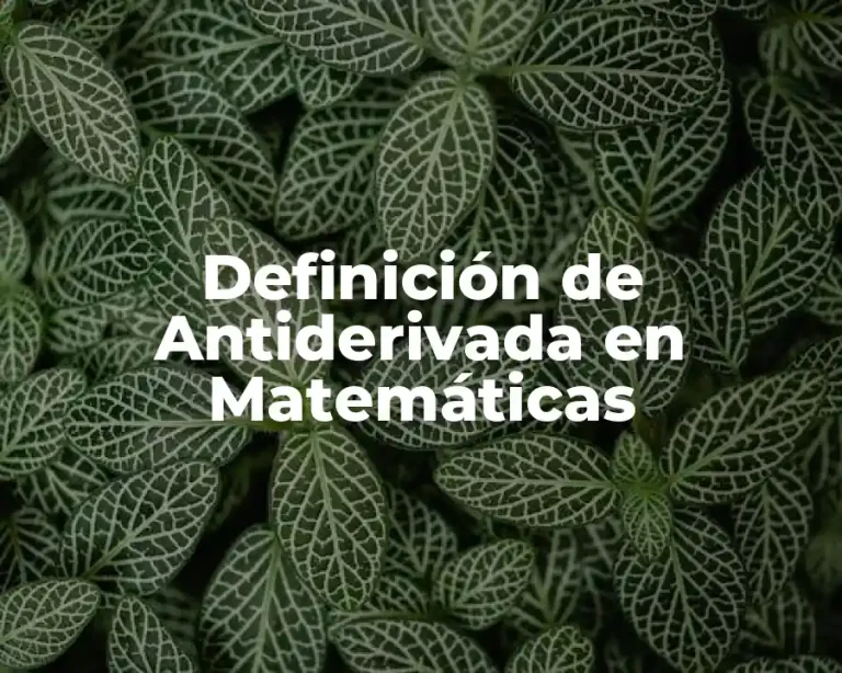 Definición de Antiderivada en Matemáticas