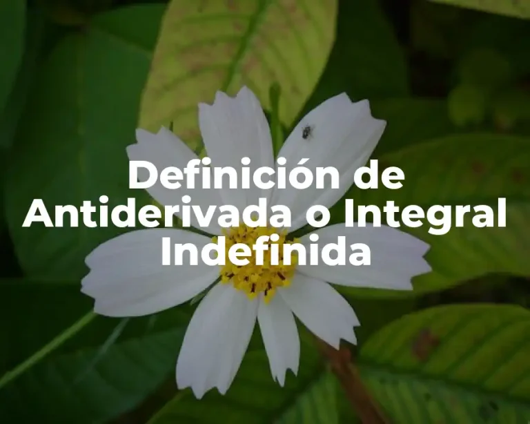 Definición de Antiderivada o Integral Indefinida