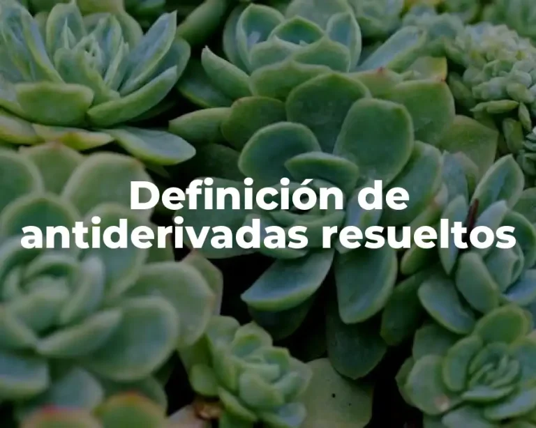 Definición de antiderivadas resueltos