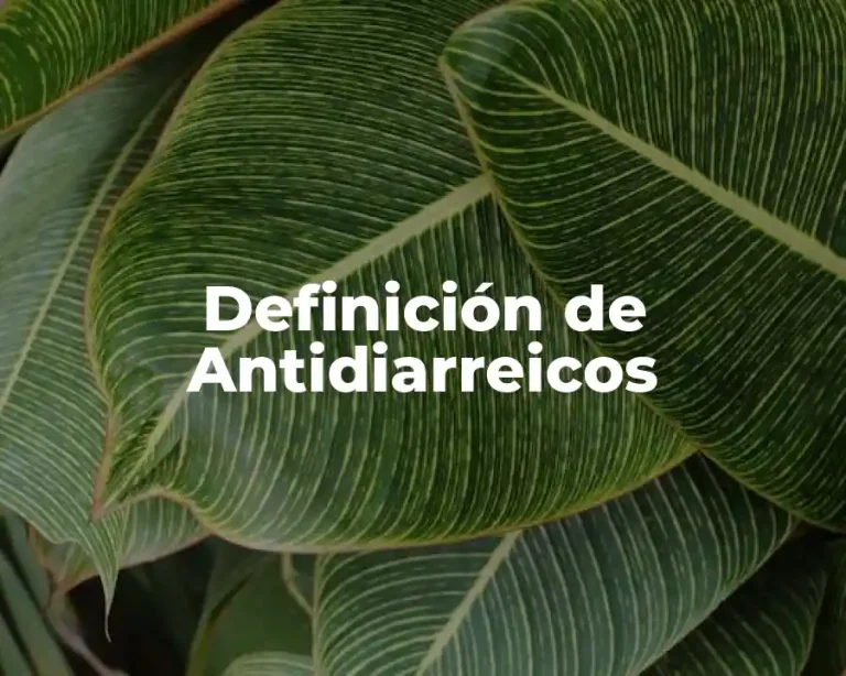 Definición de Antidiarreicos