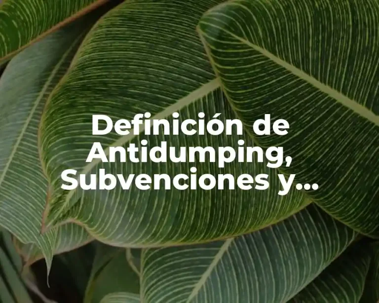 Definición de Antidumping, Subvenciones y Salvaguardias
