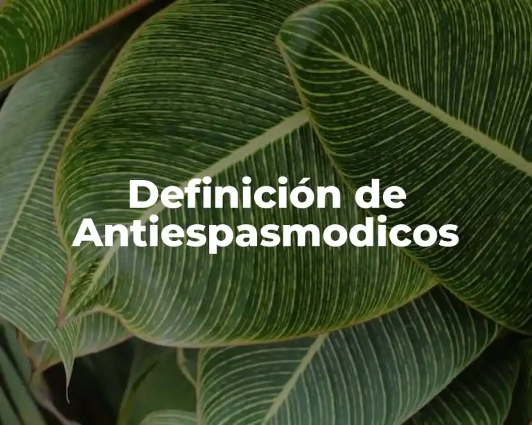 Definición de Antiespasmodicos