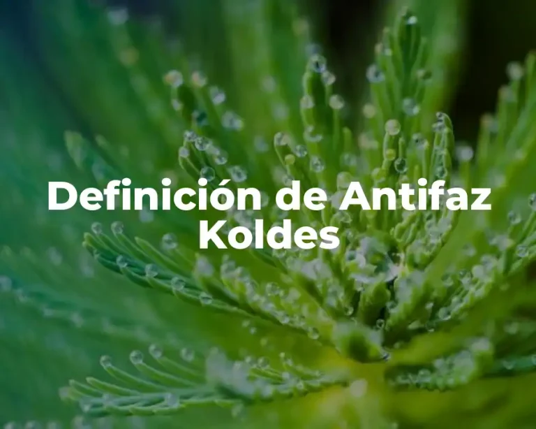 Definición de Antifaz Koldes