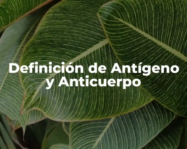 Definición de Antígeno y Anticuerpo
