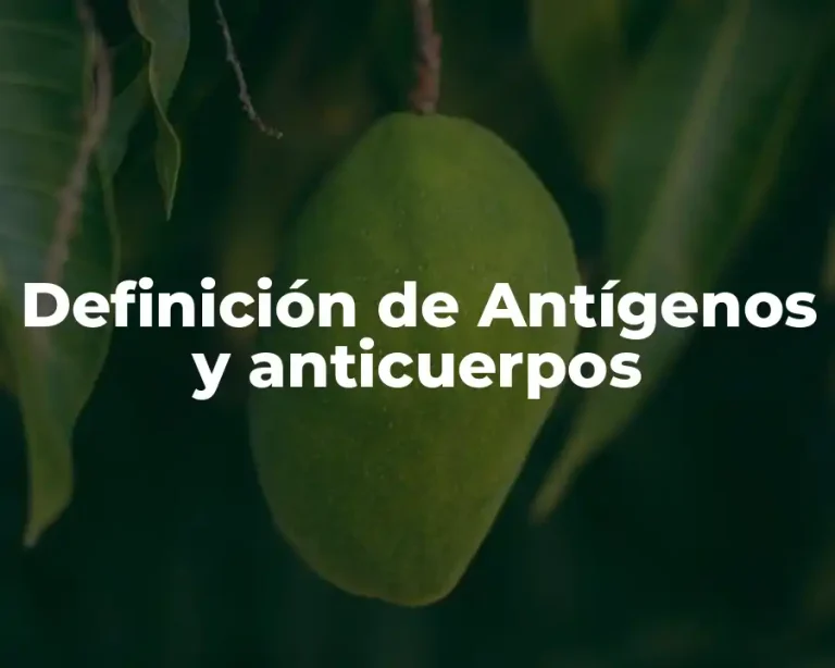 Definición de Antígenos y anticuerpos