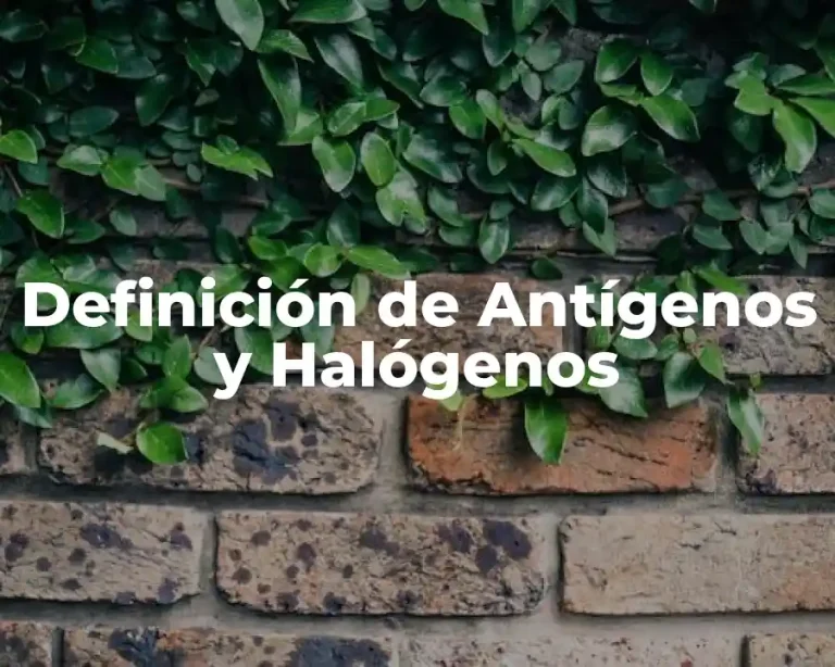 Definición de Antígenos y Halógenos