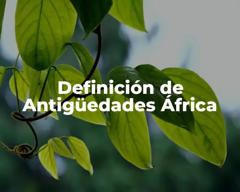 Definición de Antigüedades África