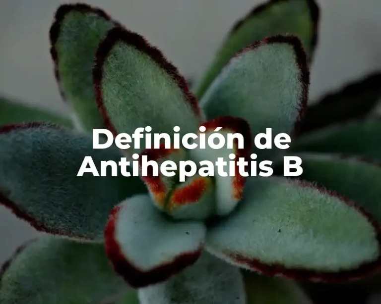 Definición de Antihepatitis B