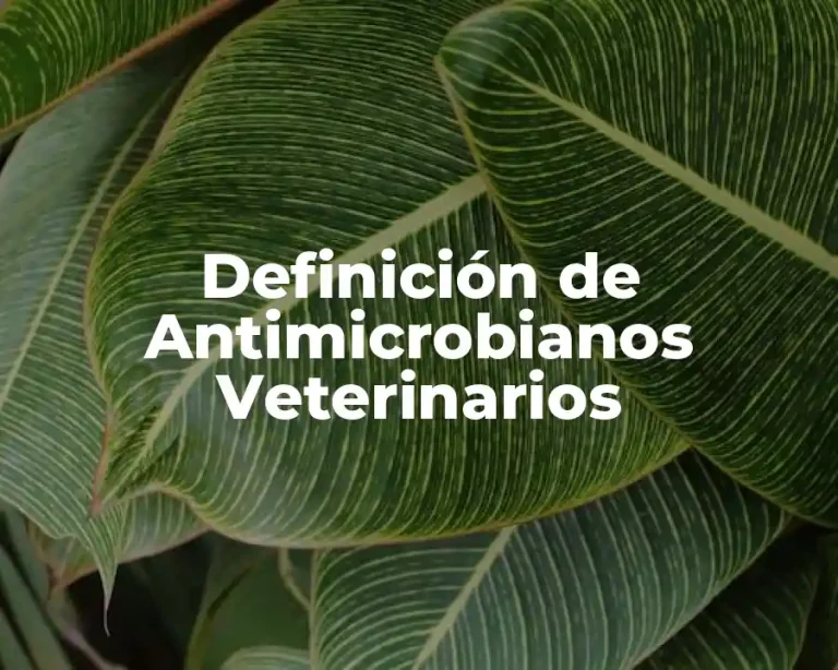 Definición de Antimicrobianos Veterinarios