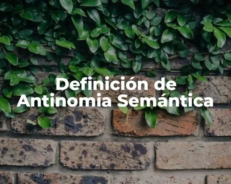Definición de Antinomia Semántica