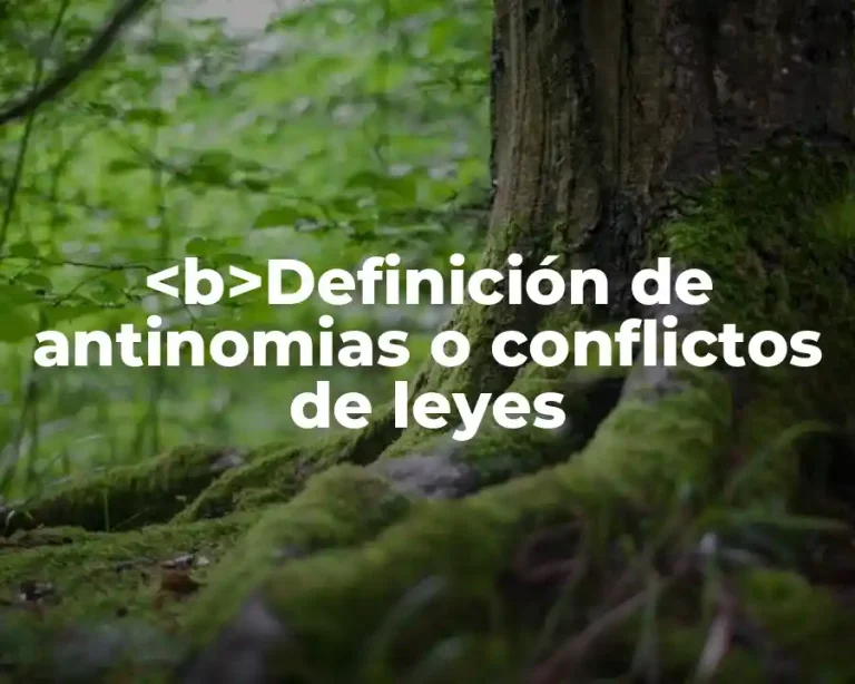 <b>Definición de antinomias o conflictos de leyes