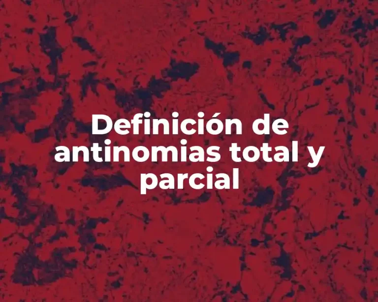 Definición de antinomias total y parcial