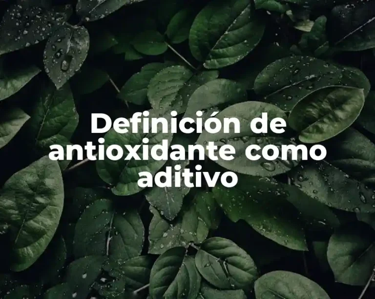 Definición de antioxidante como aditivo