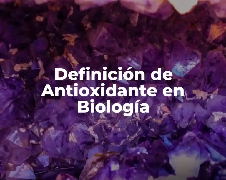 Definición de Antioxidante en Biología