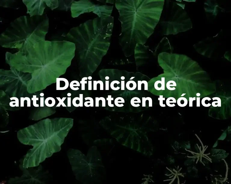Definición de antioxidante en teórica