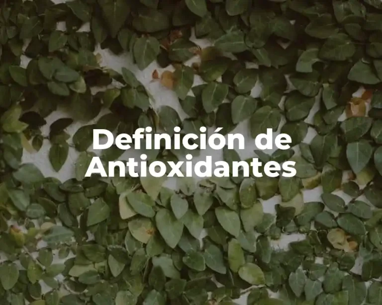 Definición de Antioxidantes