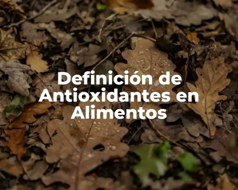 Definición de Antioxidantes en Alimentos