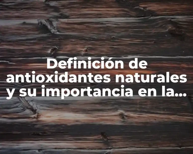 Definición de antioxidantes naturales y su importancia en la salud