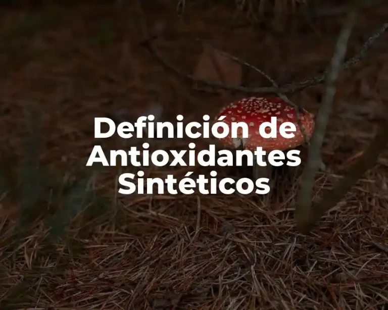 Definición de Antioxidantes Sintéticos