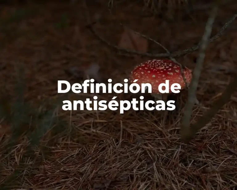 Definición de antisépticas